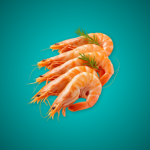 ALIF SEA WATER FISH Prawns big