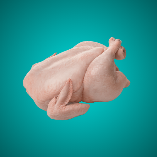 USAJ CHICKEN meat